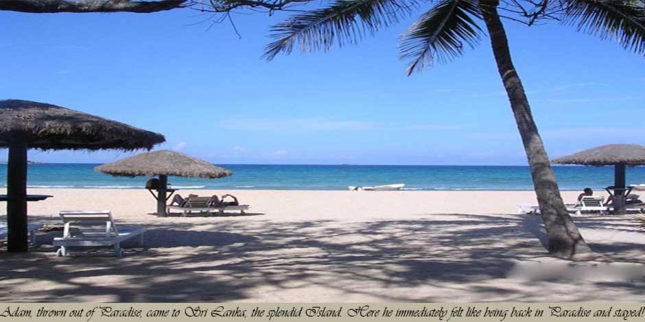 Secret Escape Nilaveli Ayurveda Hotel & Spa Exteriér fotografie